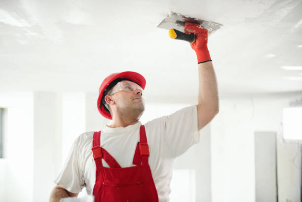 Professional Dry wall and painting in Amity Gardens, PA